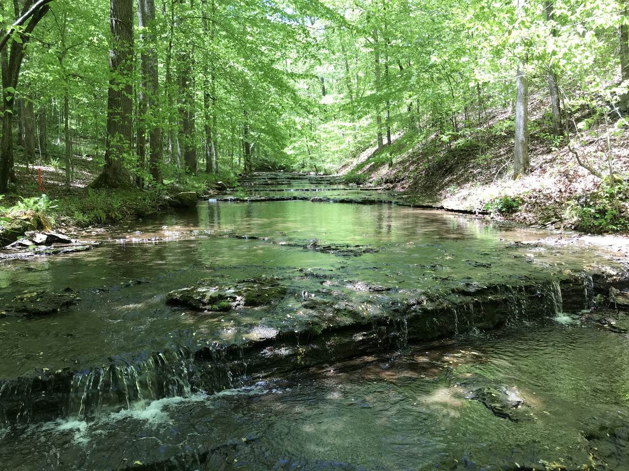 0 B Y Brown Rd - Photo 1