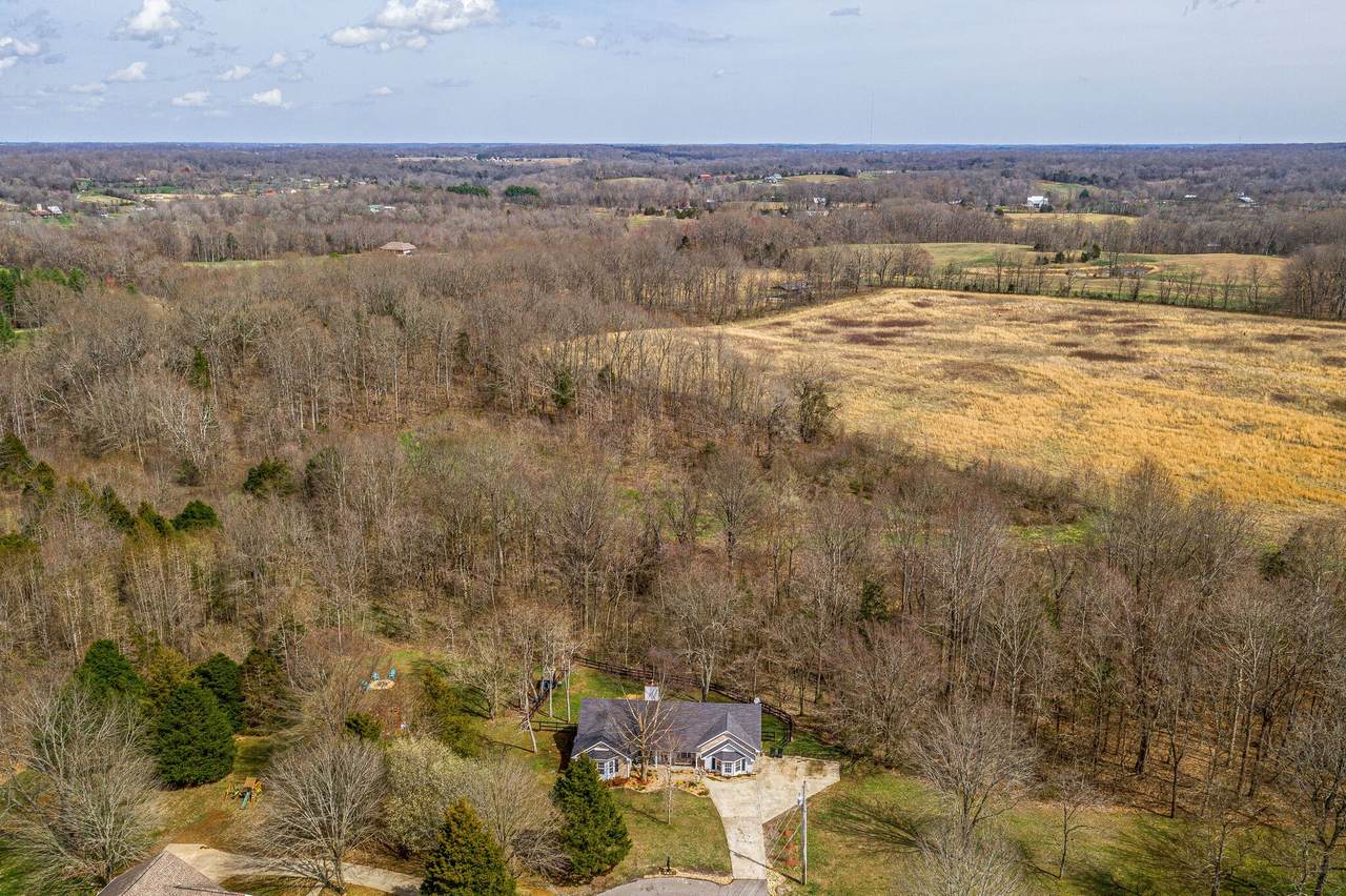 1015 Optimum Ln - Photo 1