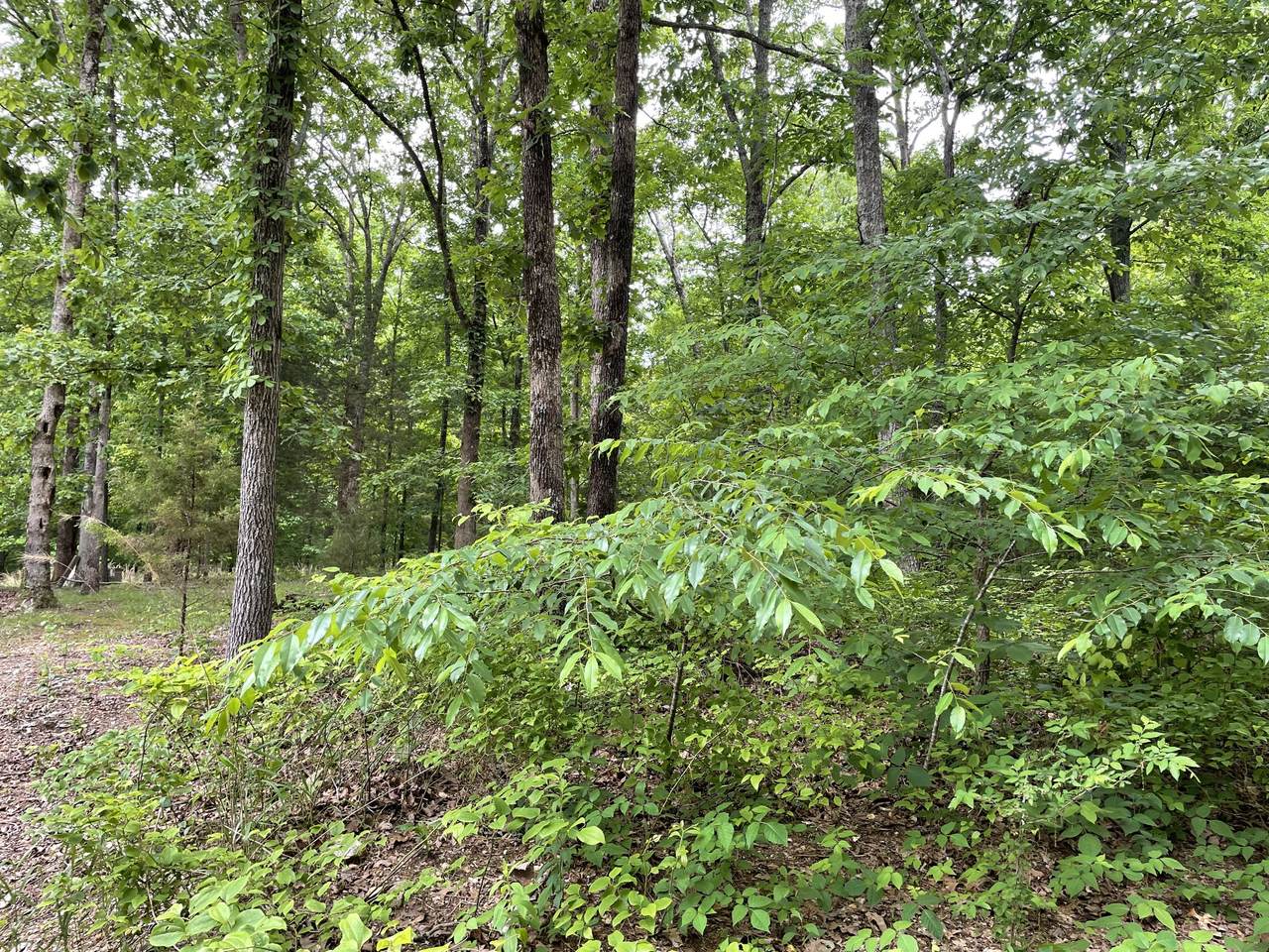 5080 Spears Road - Photo 1
