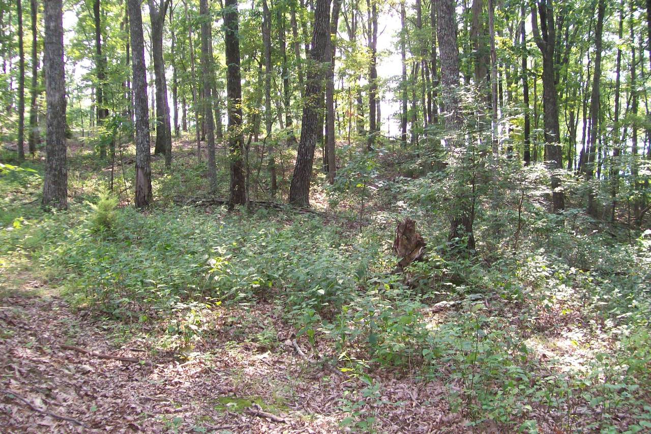 0 Bluff Line Dr - Photo 1