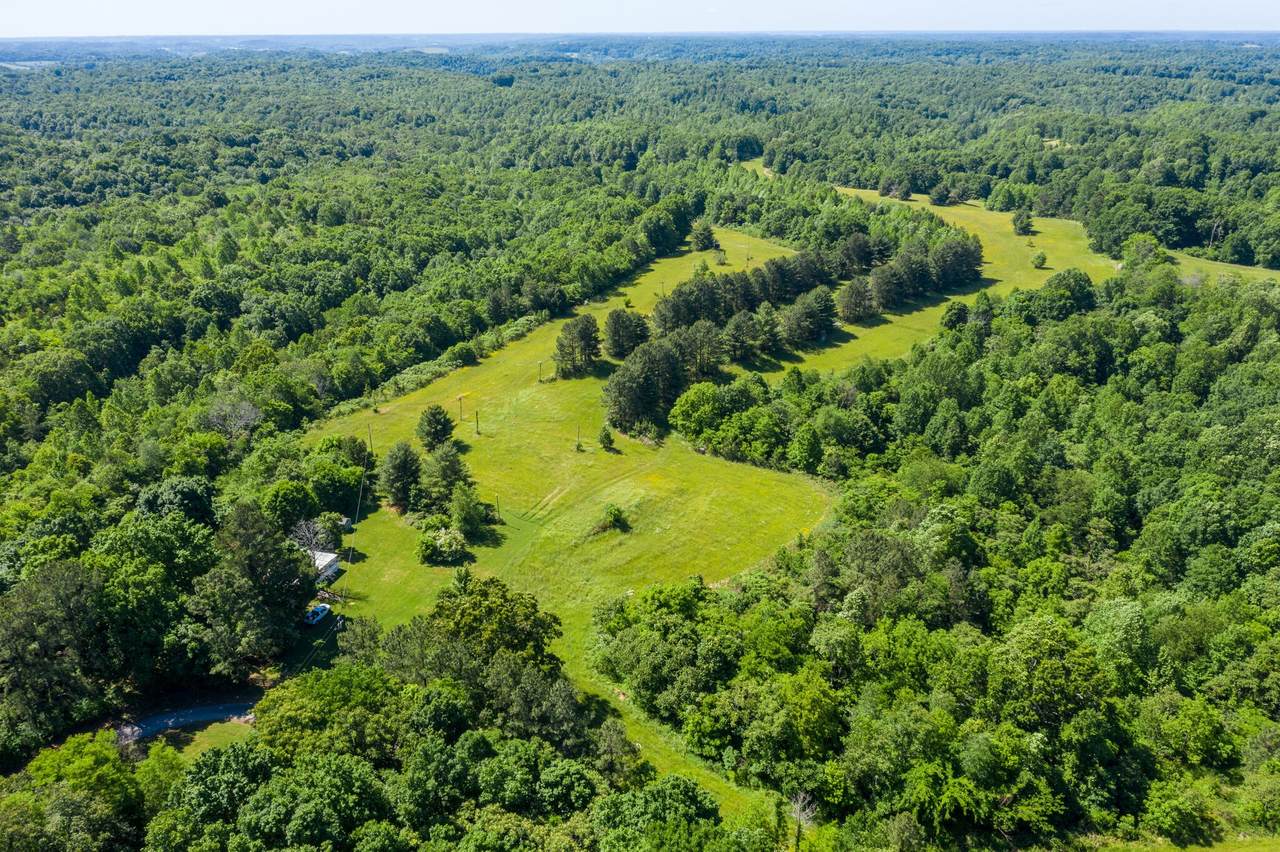 1616 Horne Hollow Rd - Photo 1