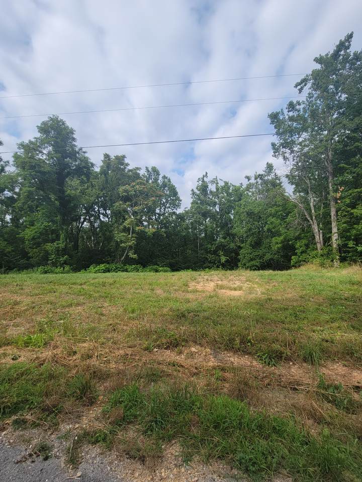 0 Cole Ridge Road - Photo 1