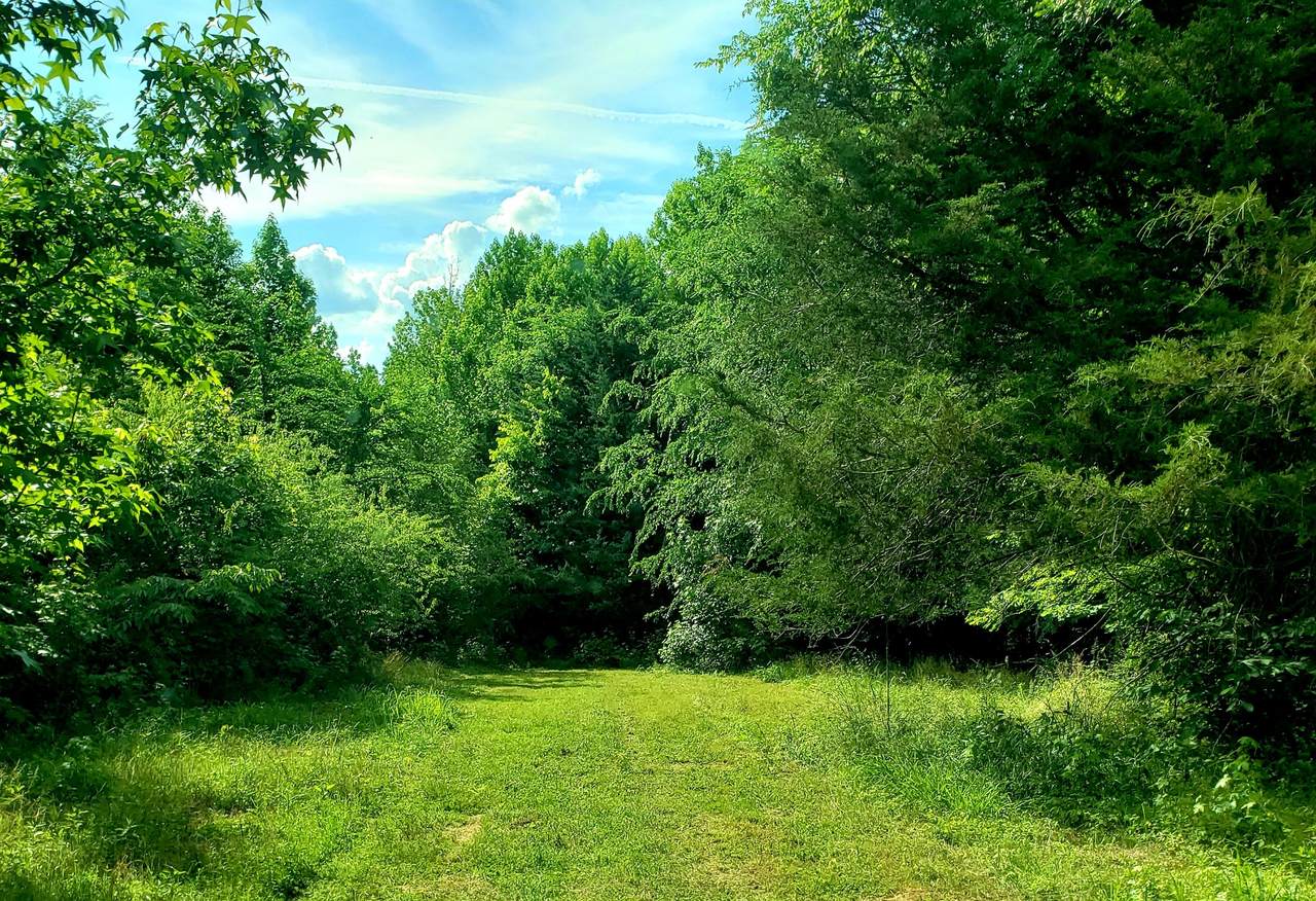 1864 Globe Rd - Photo 1