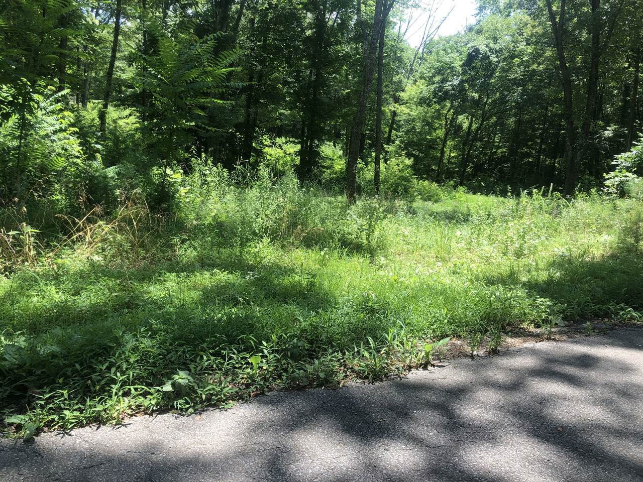 5535 Sunnyview Rd - Photo 1