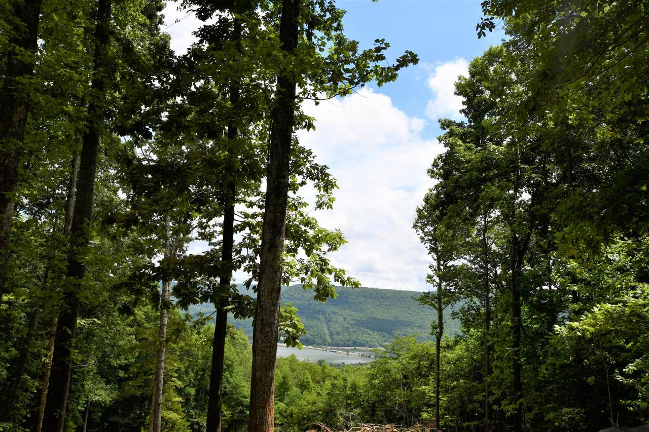 0 Browbend Dr Lot 13 - Photo 1