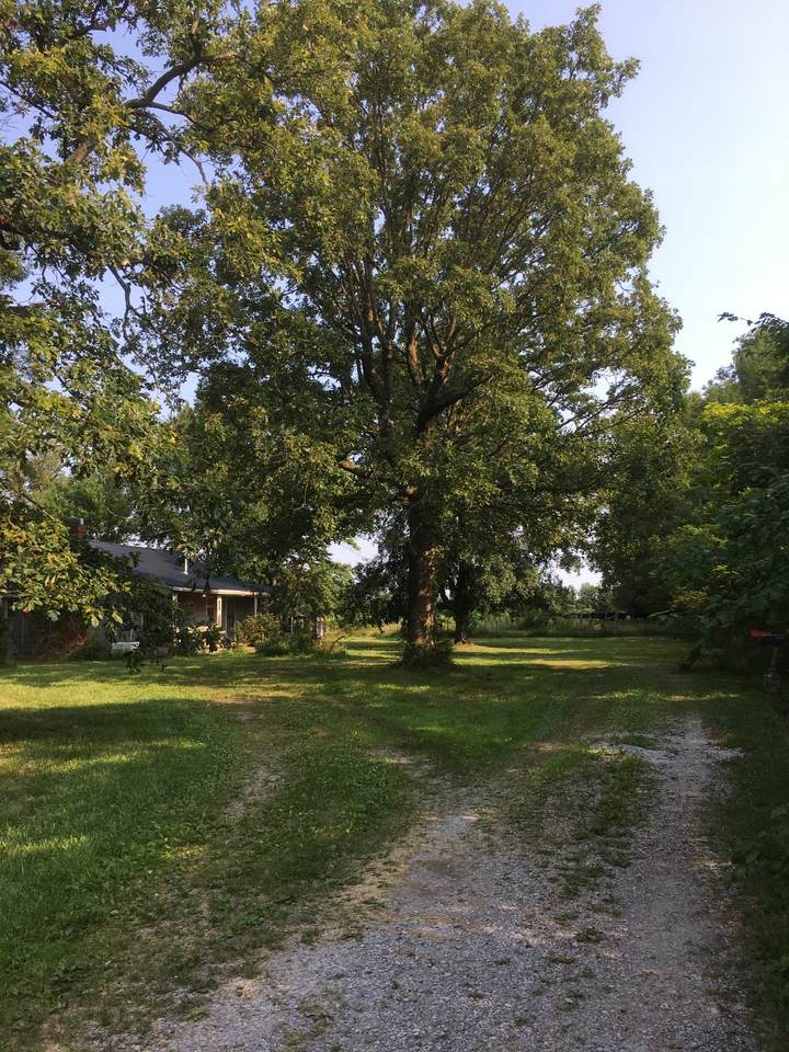 203 Tucker Ln - Photo 1
