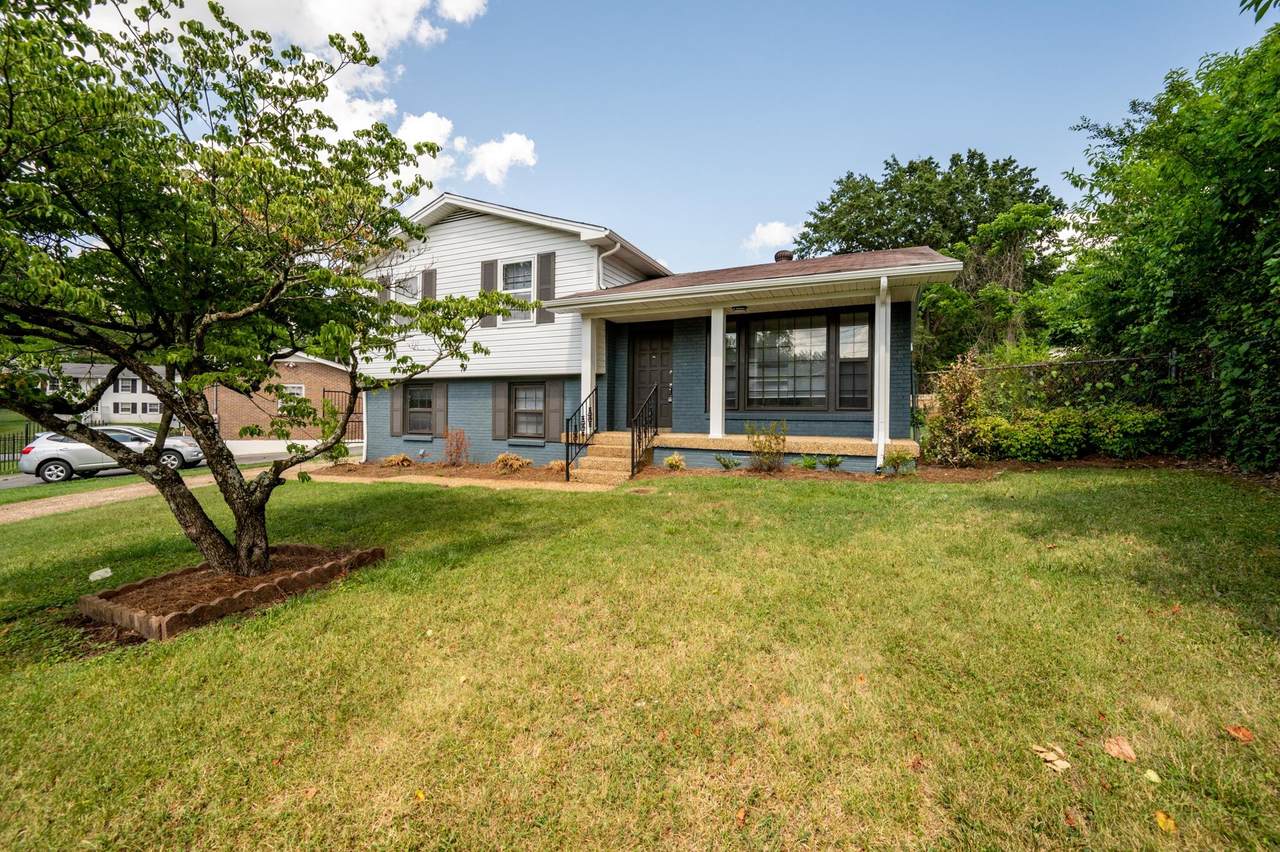 4594 Artelia Dr - Photo 1
