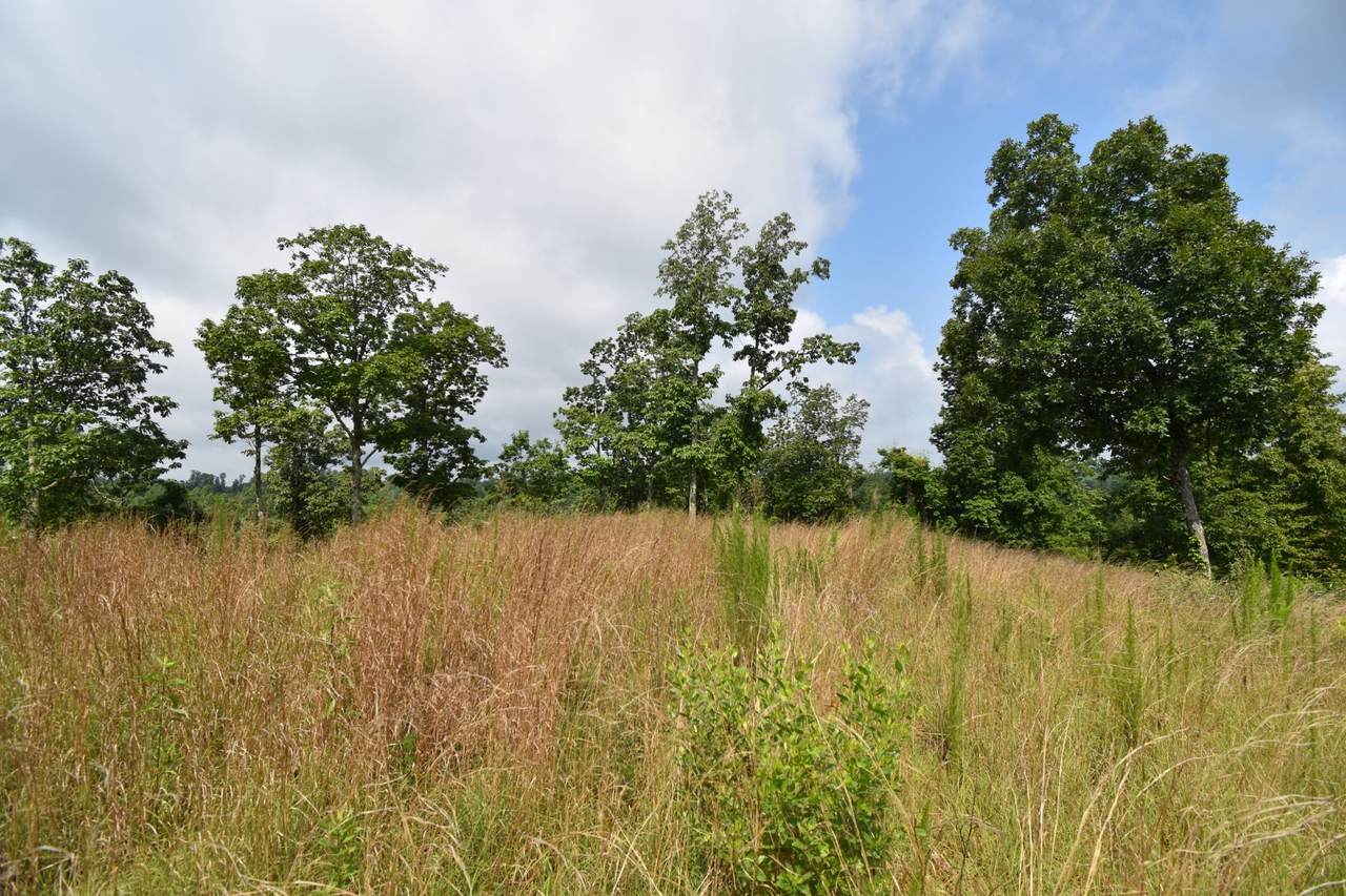 0 Deer Run Rd - Photo 1