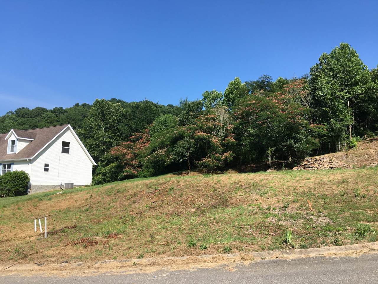 1009 E Bobby Ct - Photo 1