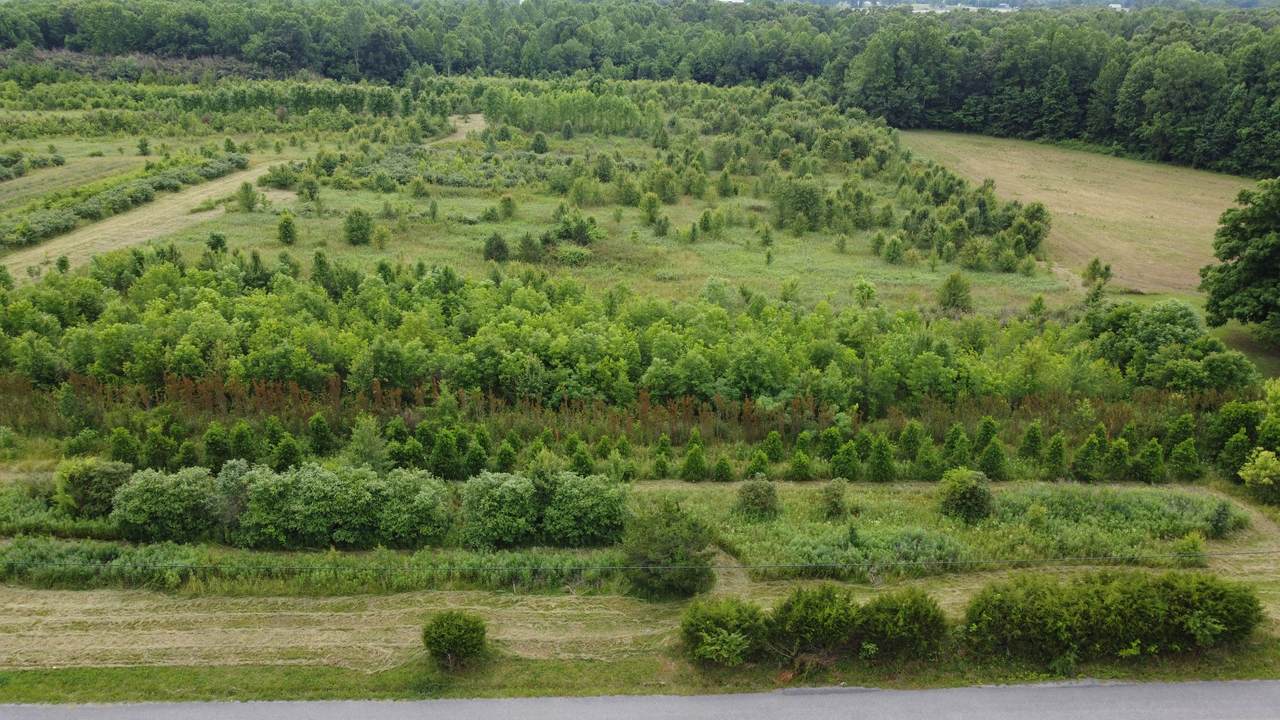 0 Bybee Branch Rd - Photo 1