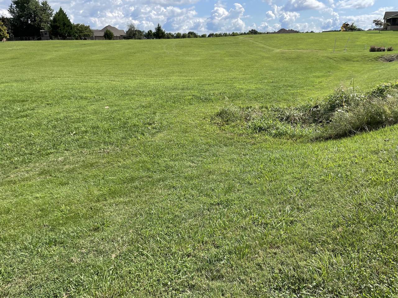 0 Hills Dr - Photo 1