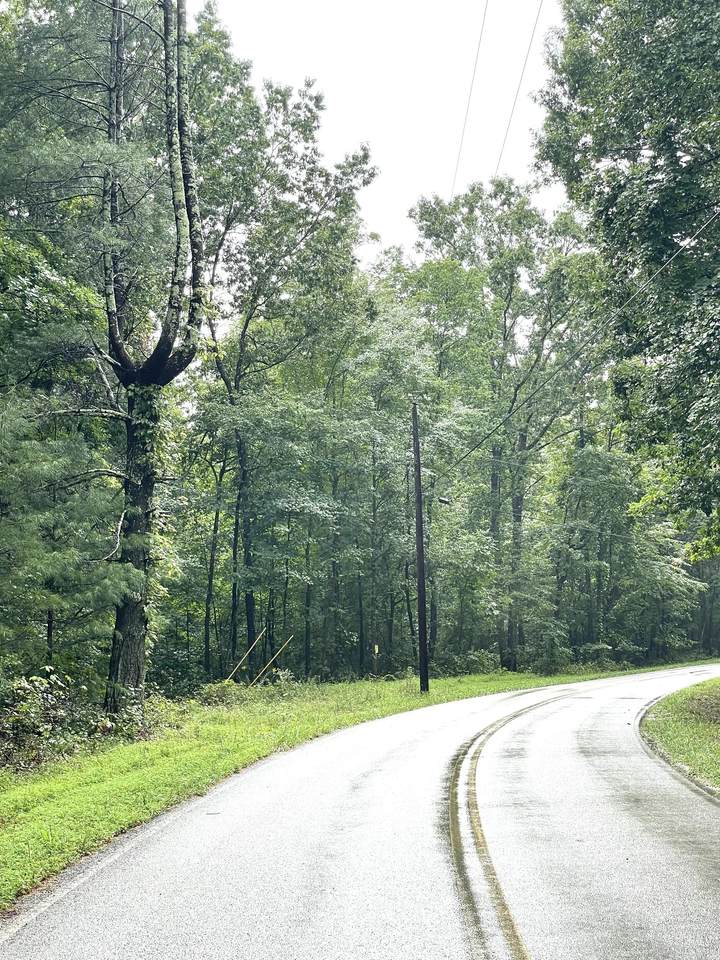 0 Snake Pond Rd - Photo 1