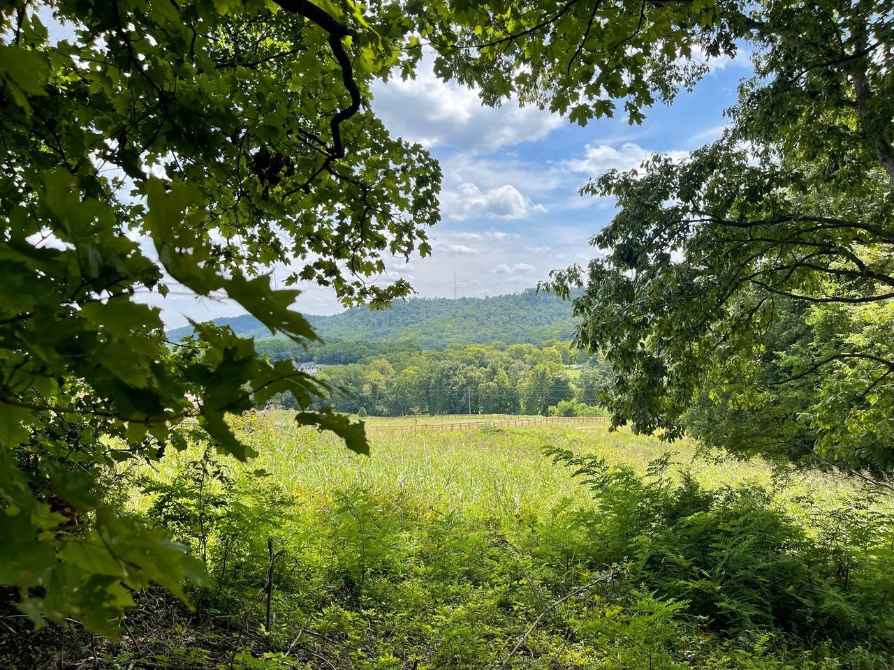 1846 Pleasant Hill Rd - Photo 1