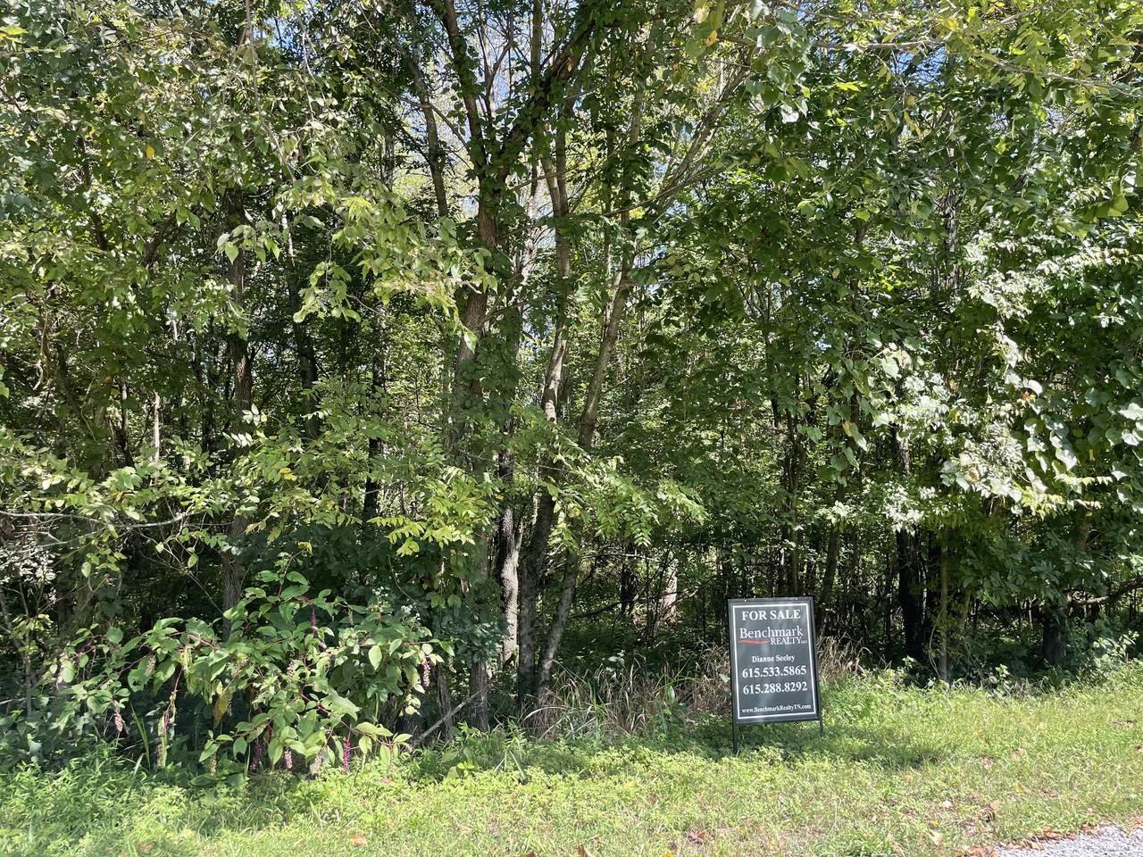 0 West Road - Photo 1
