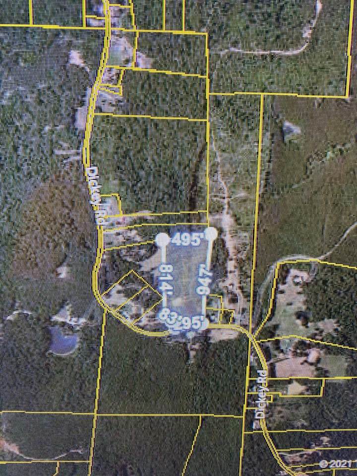 659 Dickey Rd. - Photo 1