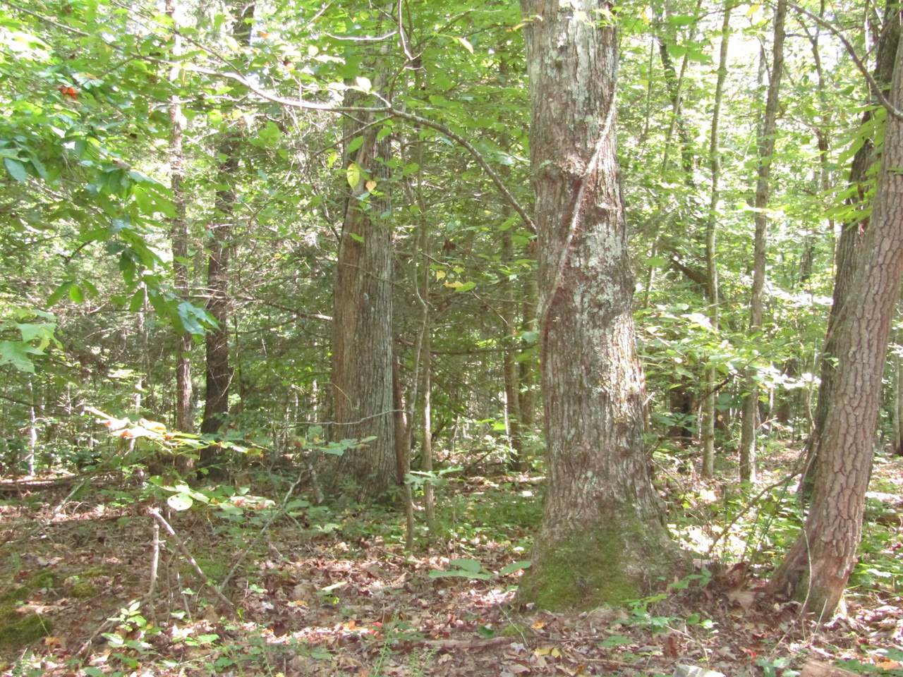 5108 Hickory Flatts Rd - Photo 1