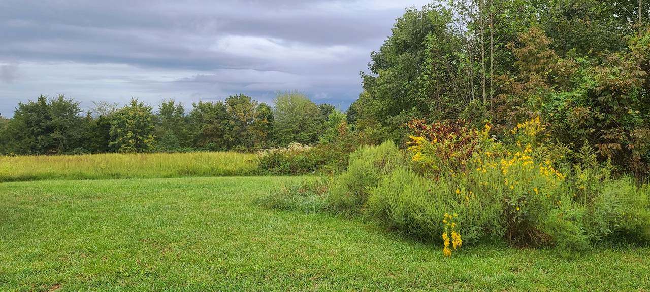 410A Clark Hollow Rd - Photo 1