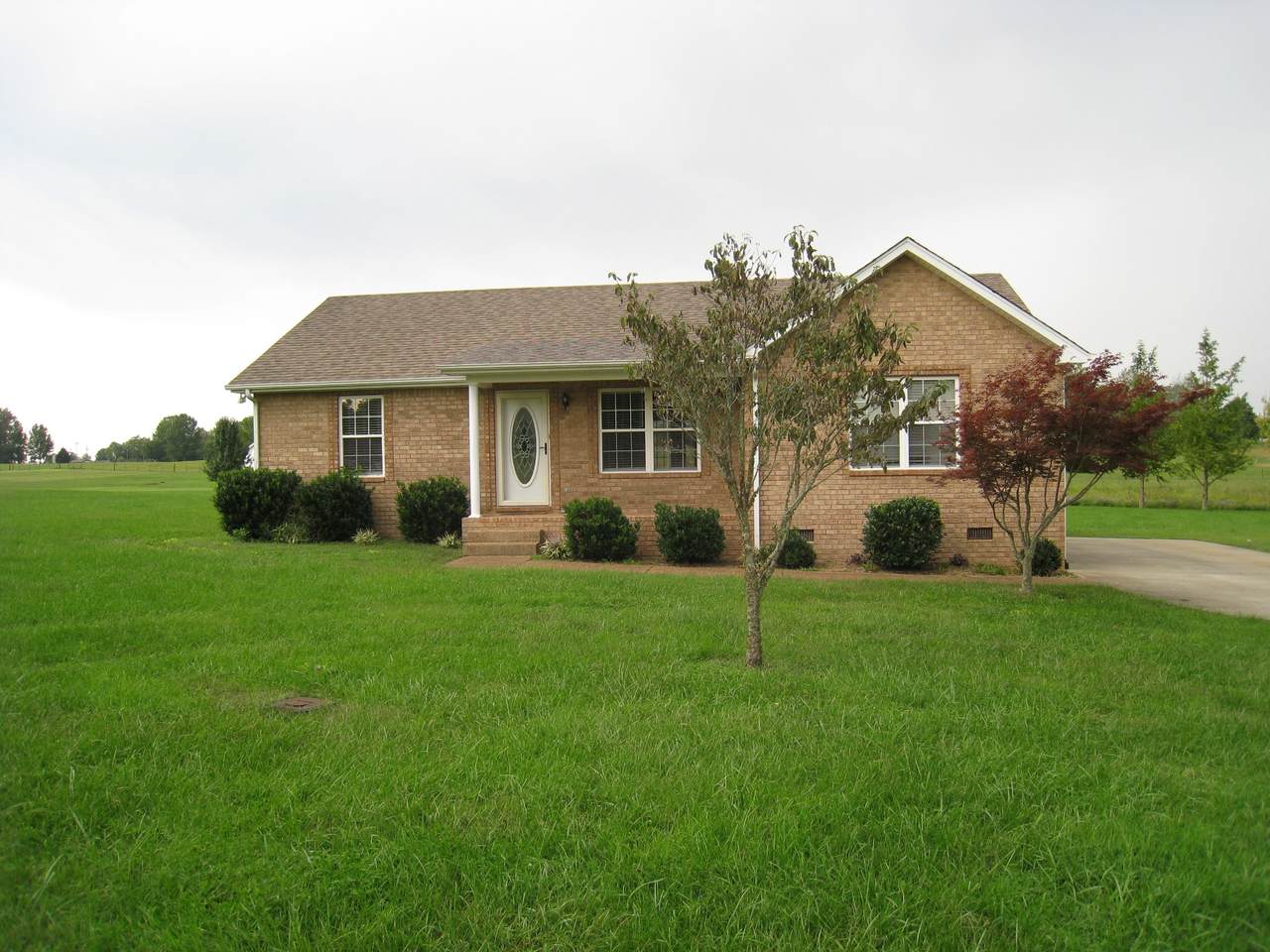 1069 Deasy Ln - Photo 1