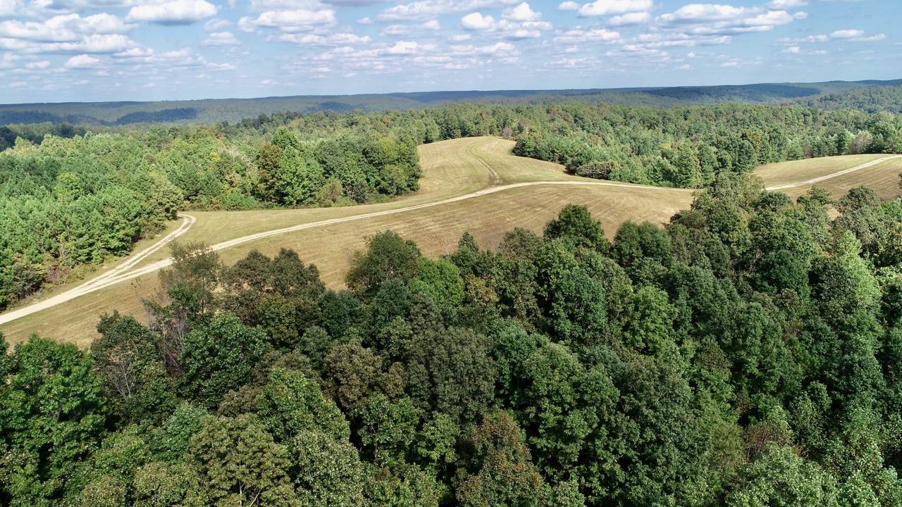 169 Forest Ridge Road - Photo 1