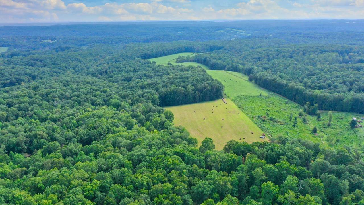 0 Oscar Green Rd - Photo 1