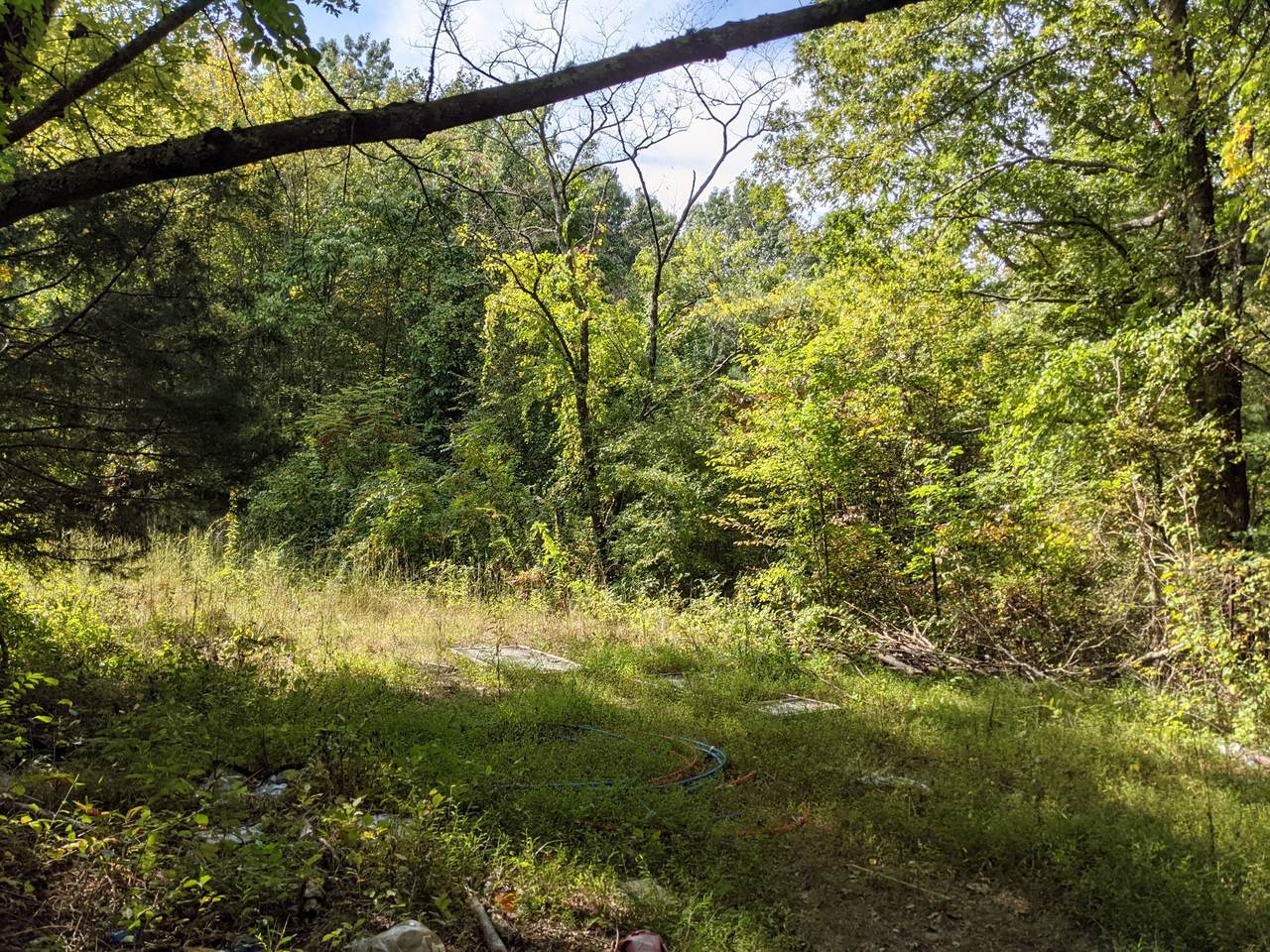 71 Myers Town Rd - Photo 1