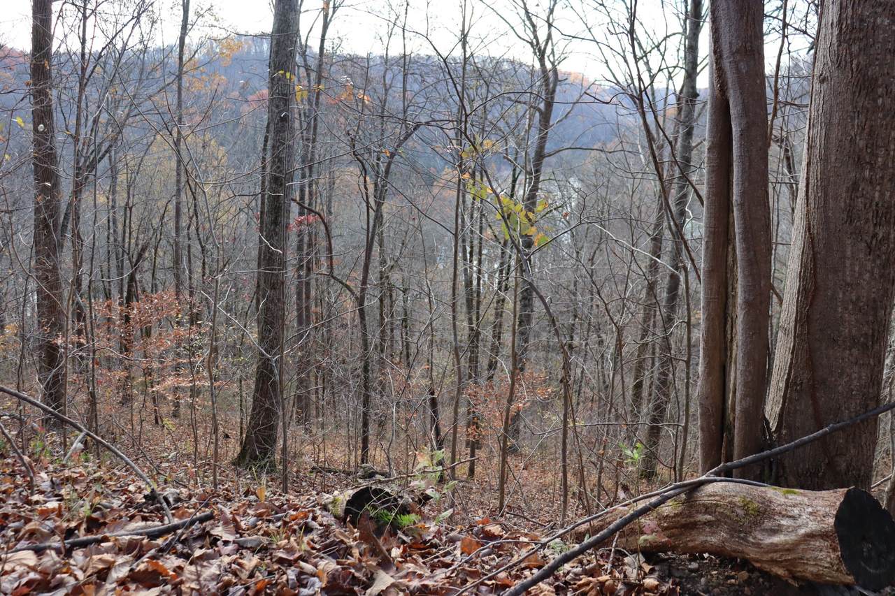 0 Tranquility Lane - Photo 1