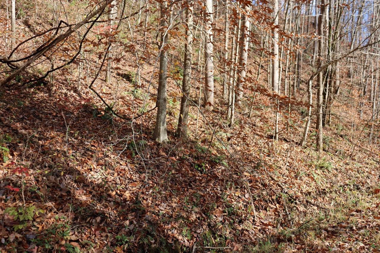 0 Cherokee Dr - Photo 1