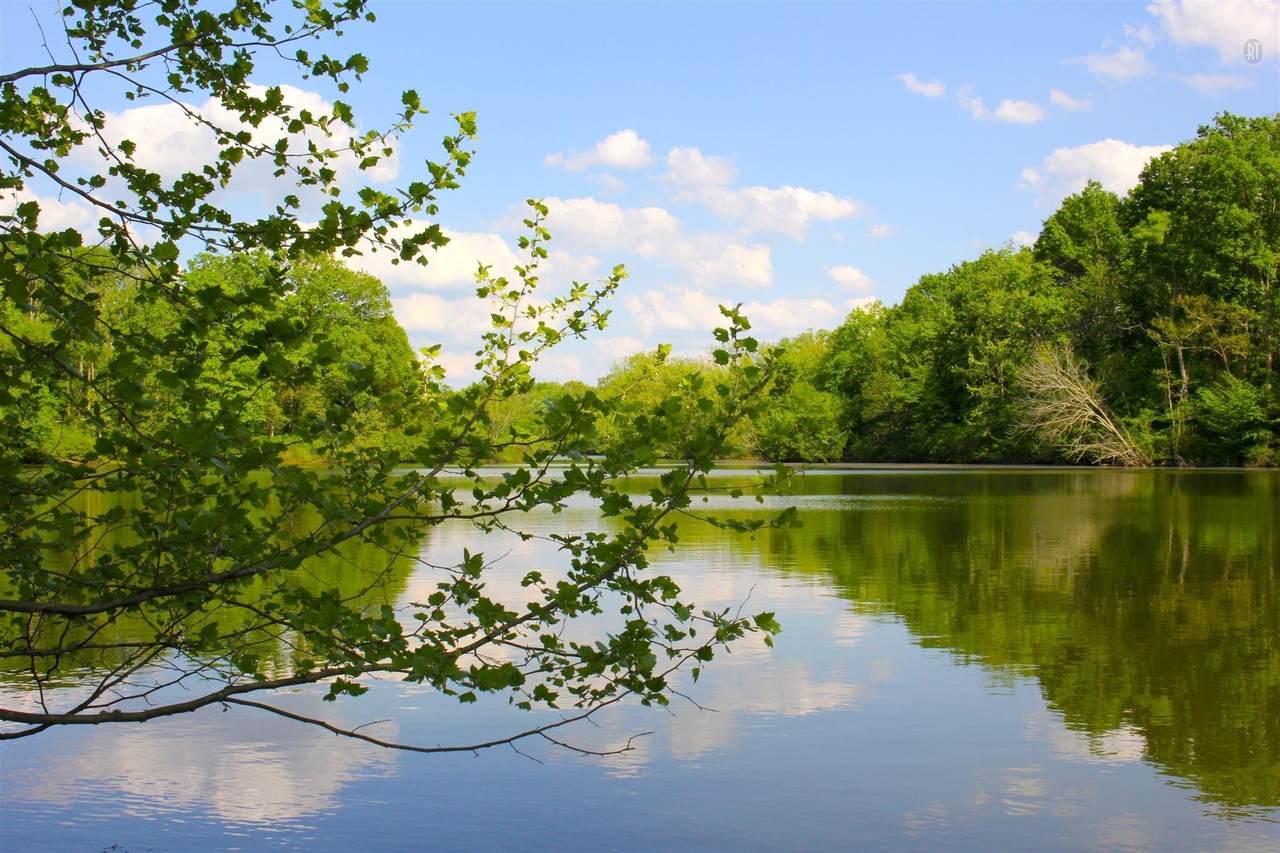 151 Angels Cove Ln - Lot 10 - Photo 1