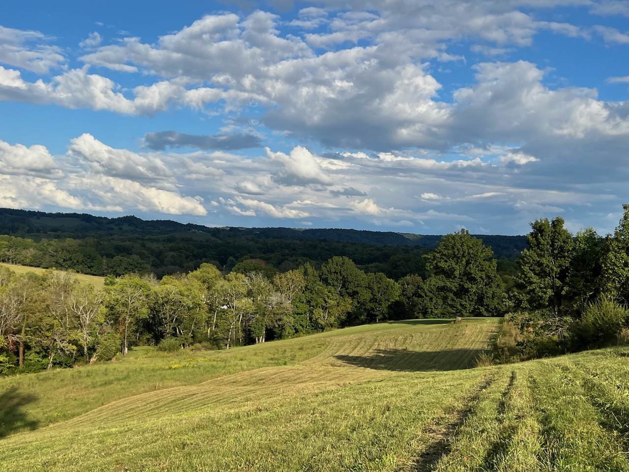 10 Hwy 64 - Photo 1