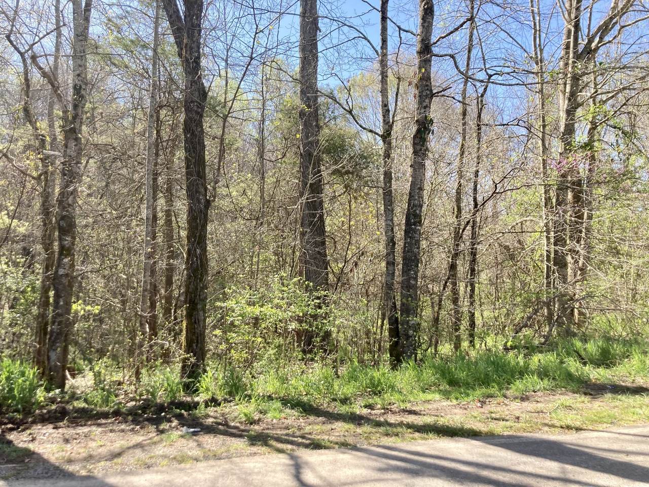 0 Mack Floyd Rd - Photo 1