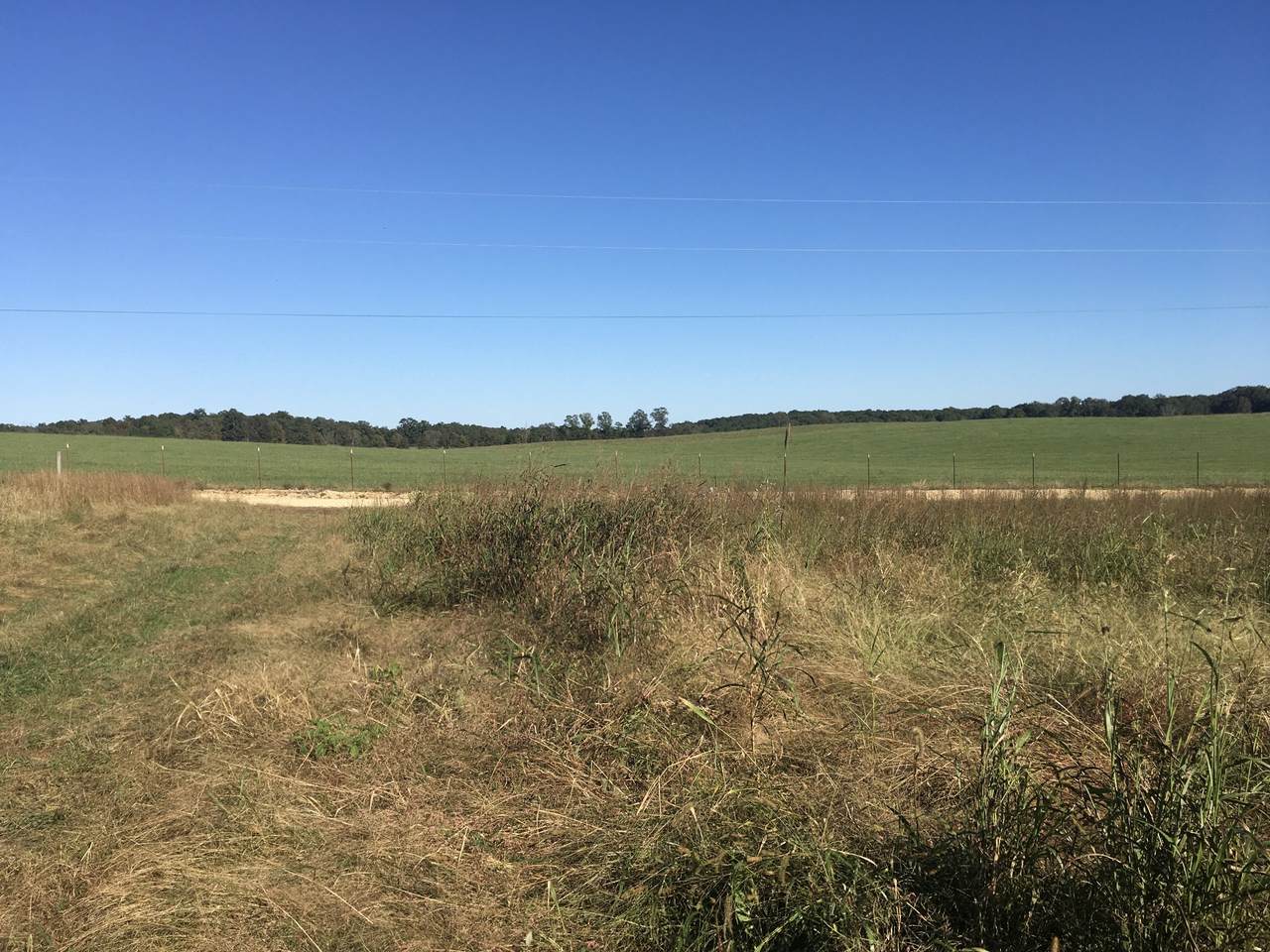 5693 Tn City Rd - Photo 1
