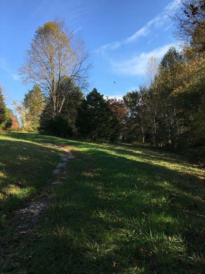 1137 James Brown Rd - Photo 1