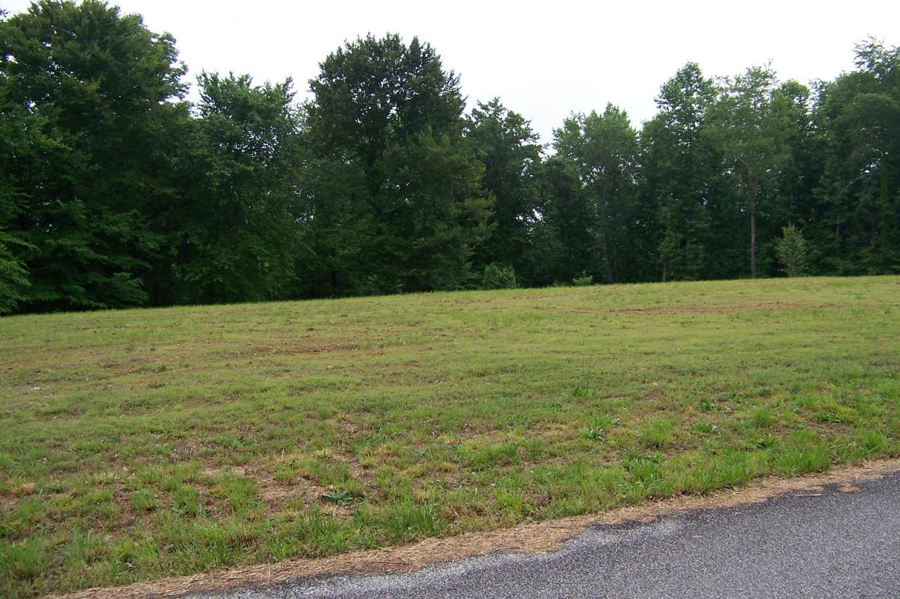 246 Betsy Dr - Photo 1
