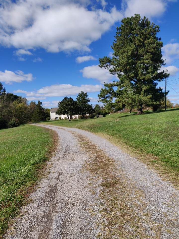 7302 Hall Rd - Photo 1