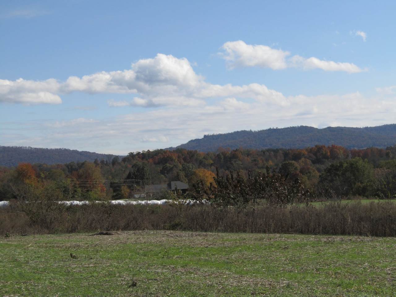 61 .50 Ac 9928 Hwy 111 - Photo 1