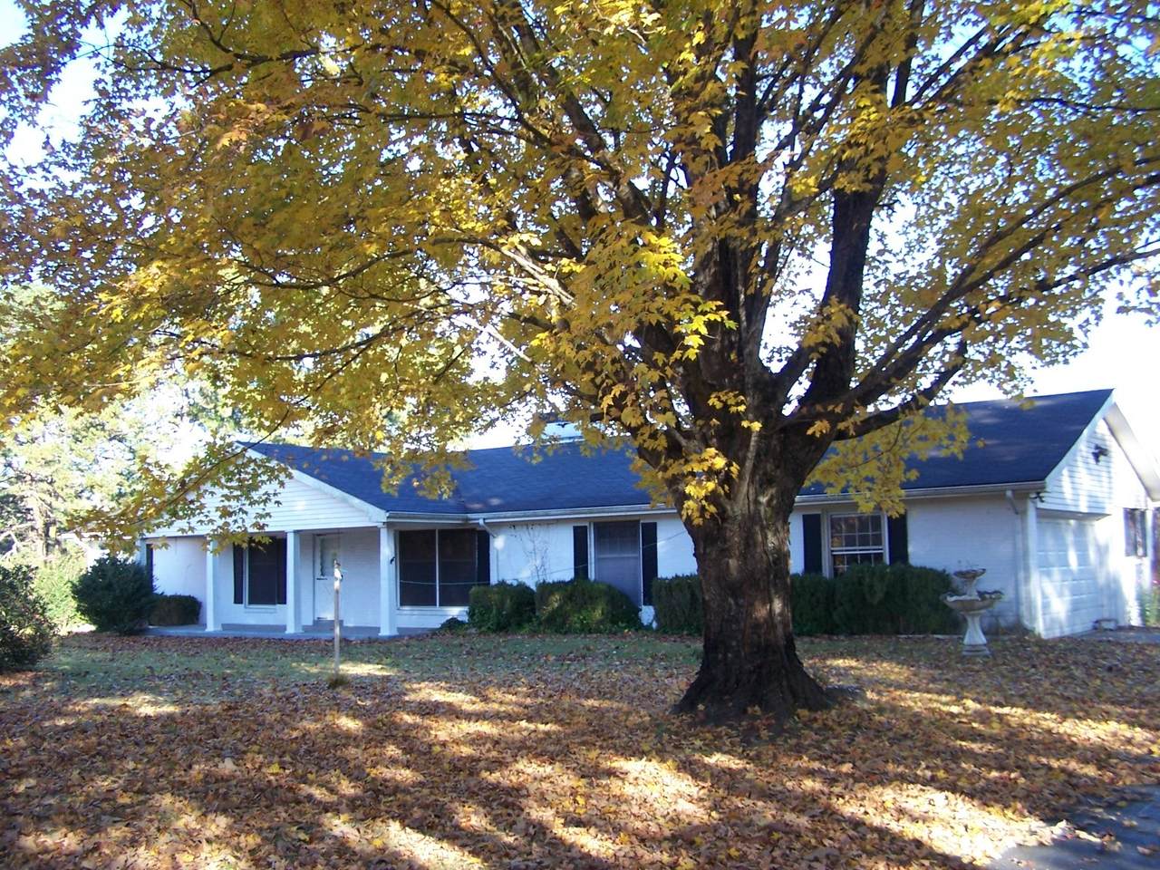 85 Horseshoe Bend Rd - Photo 1