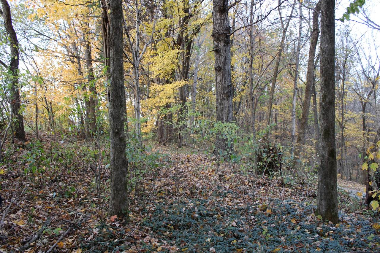 0 Johns Creek Rd - Photo 1