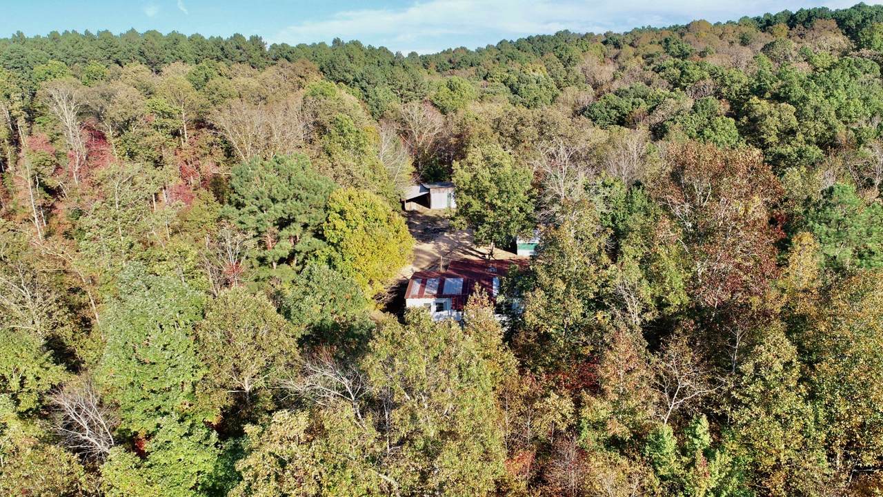 1352 Terrapin Creek Rd - Photo 1