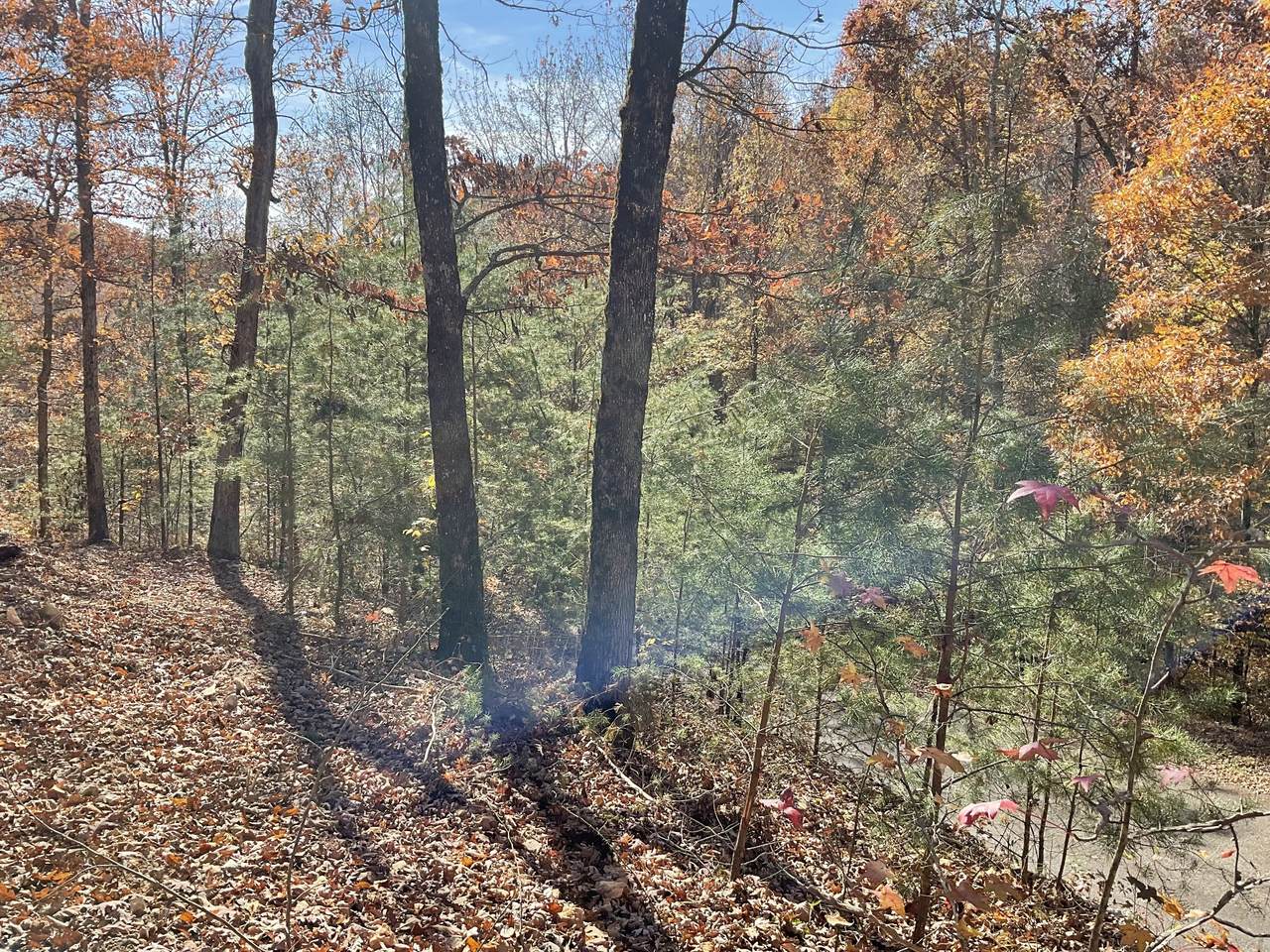 0 Forrest Crossing - Photo 1