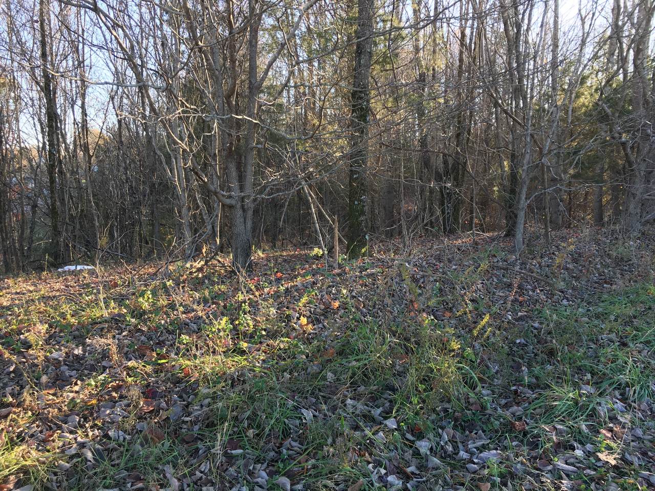 8691 Highway 52 - Photo 1