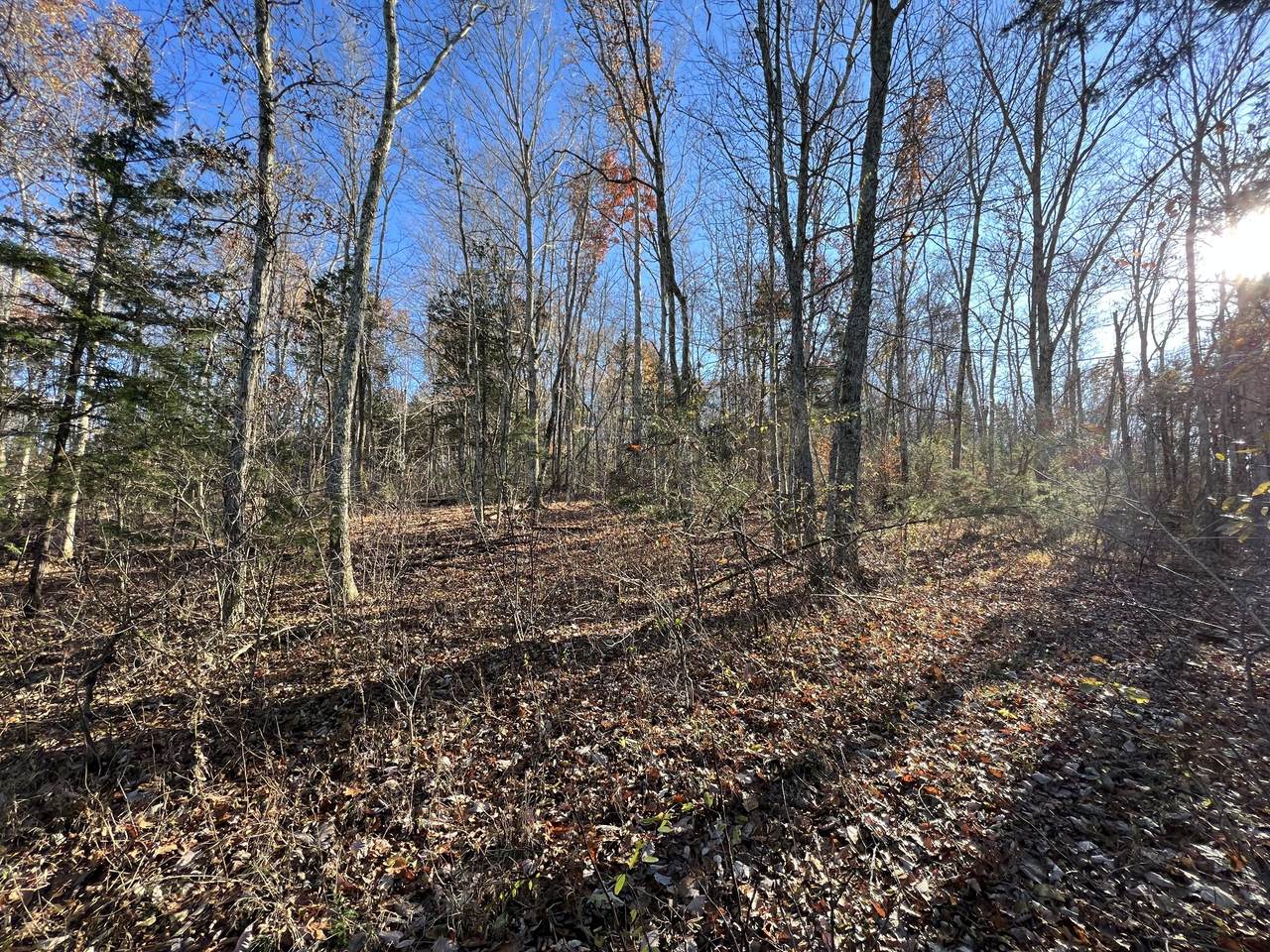 0 Cranor Rd - Photo 1