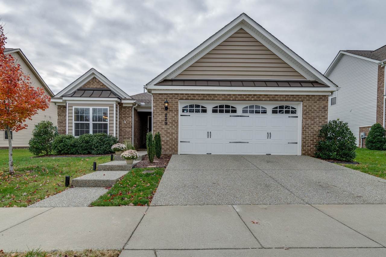 229 Jocelyn Dr - Photo 1