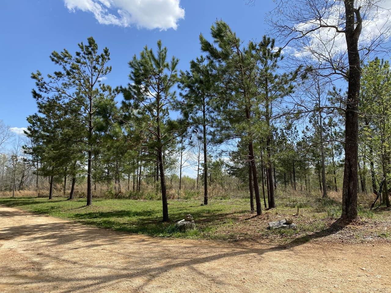 280 Baptist Branch Rd - Photo 1