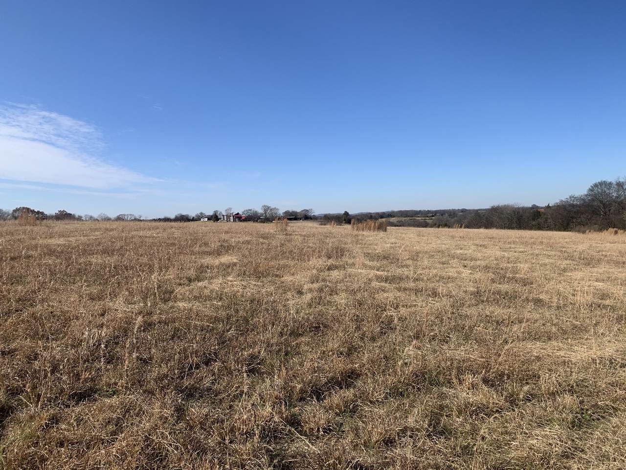 1147 Littleton Ranch Rd - Photo 1