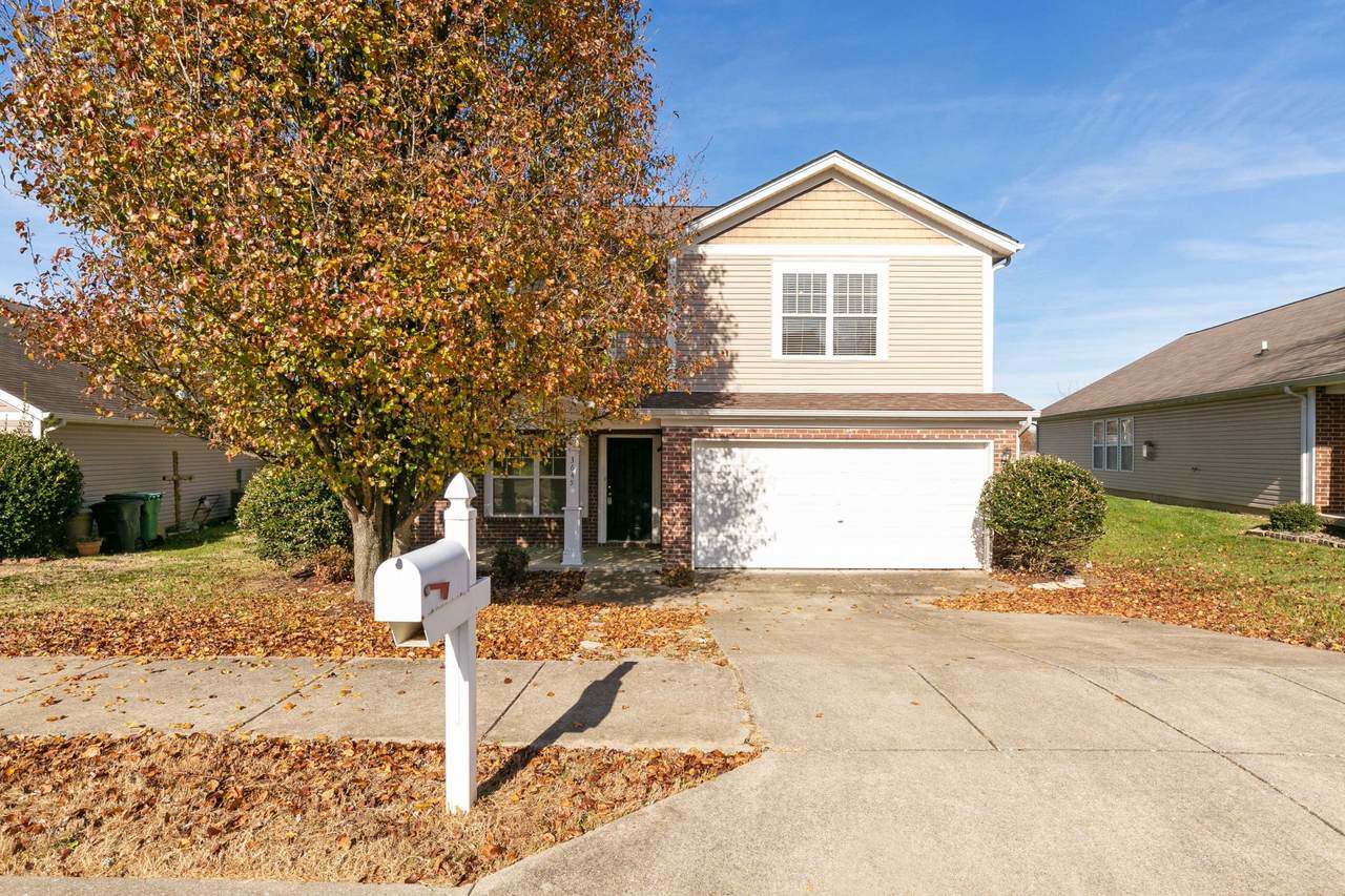 3645 Coles Branch Dr - Photo 1