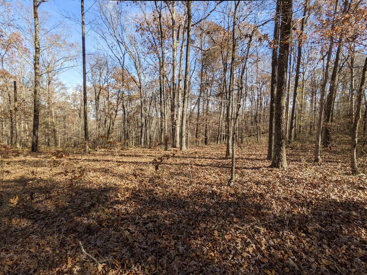 407 Half Pone Rd - Photo 1