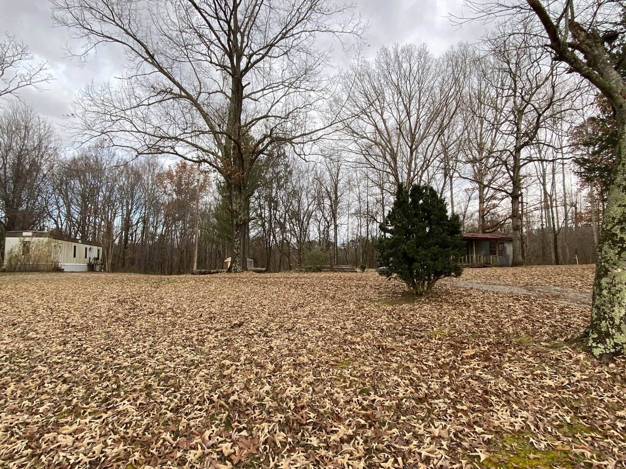 159 Copenhaver Rd - Photo 1