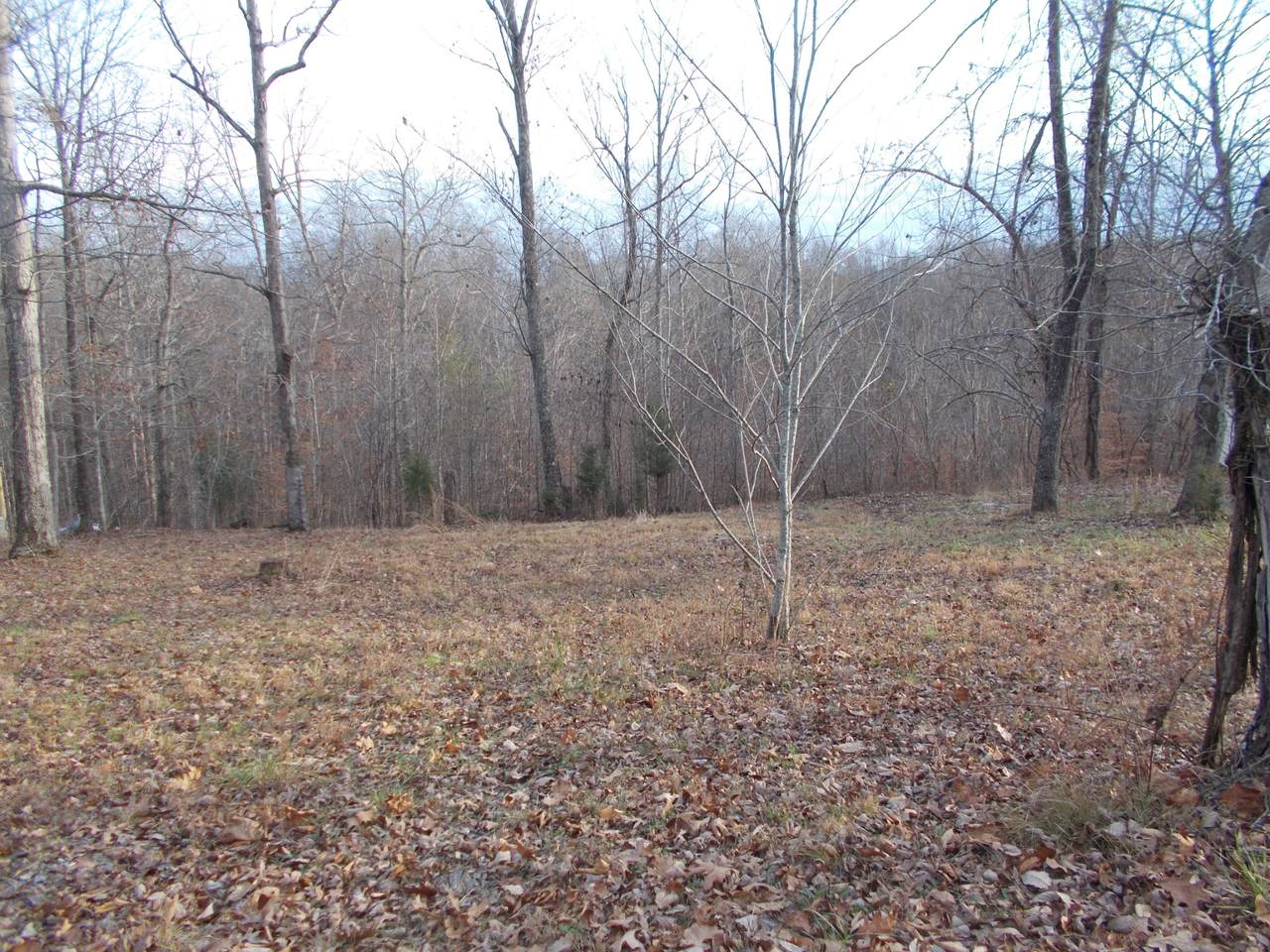 1017 Owen Ct - Photo 1