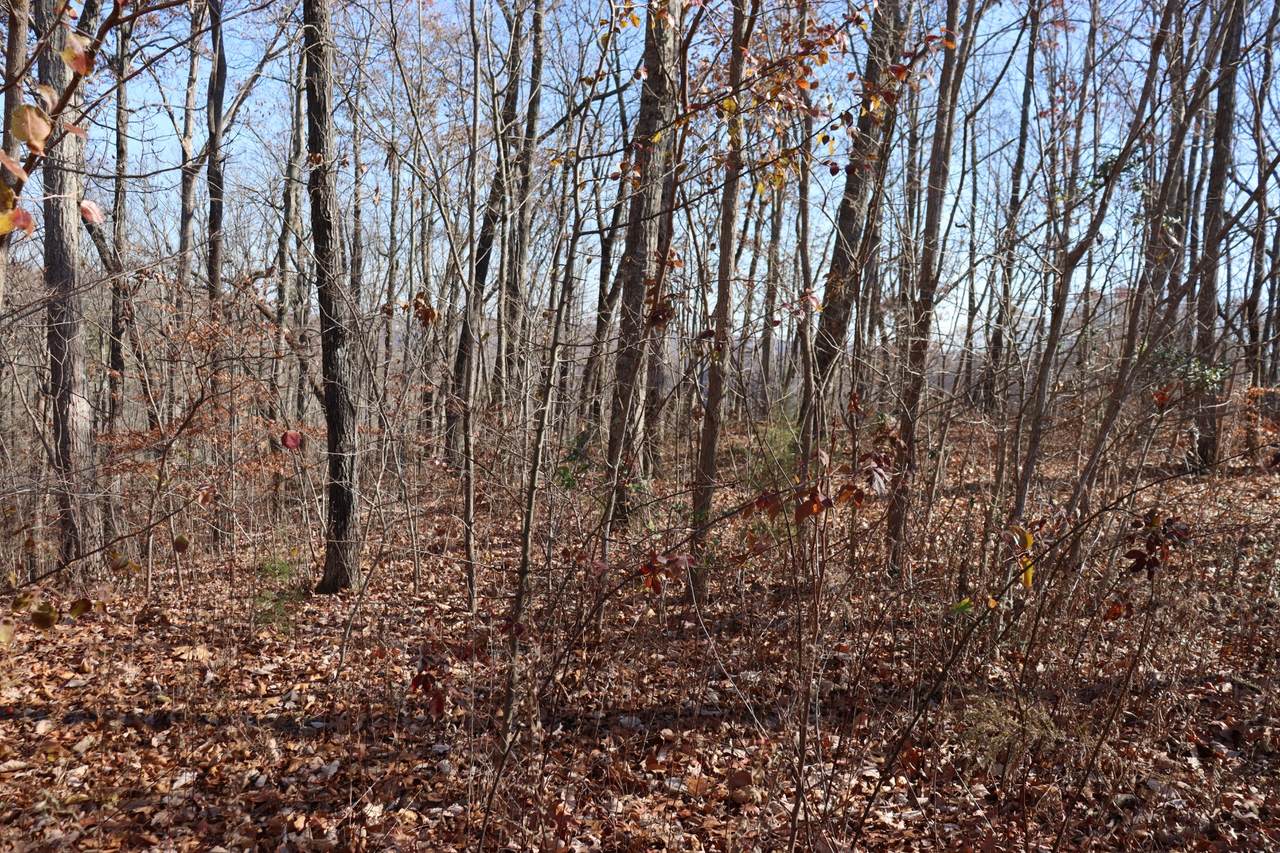 34 Shiloh Ln - Photo 1
