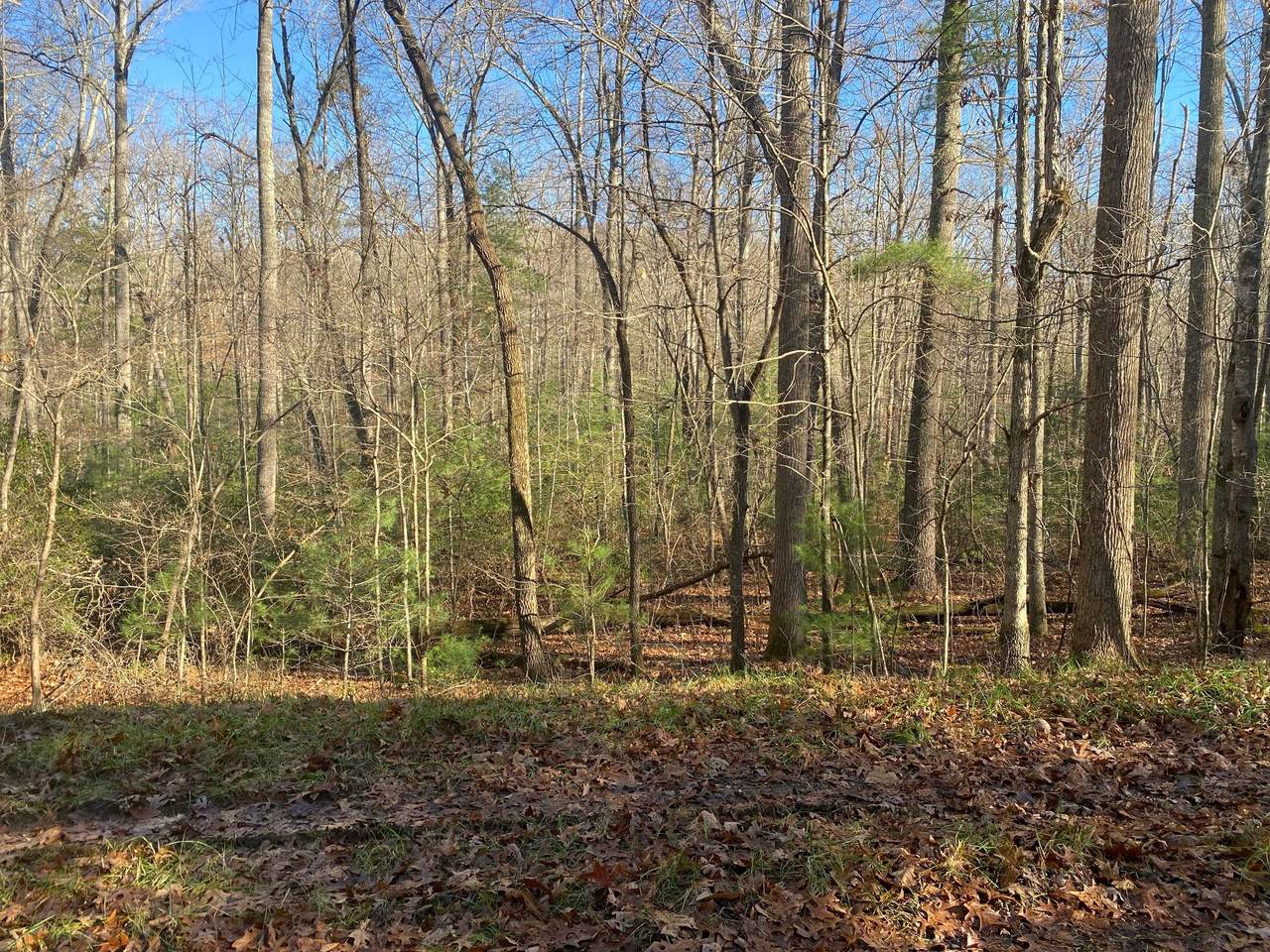 33 Hammels Ln Fairfield Glade - Photo 1